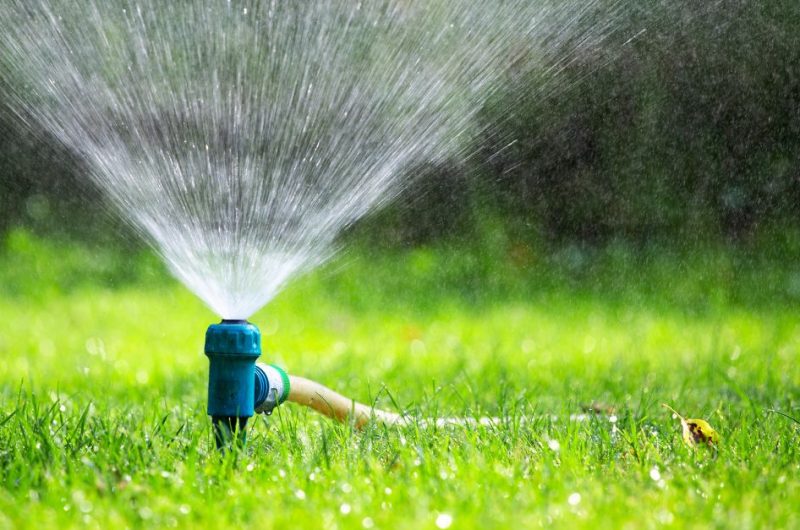 sprinkler grasveld
